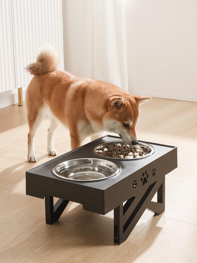 PackaBOWL - Gamelle surélevée Portable Pliable