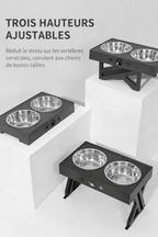 PackaBOWL - Gamelle surélevée Portable Pliable