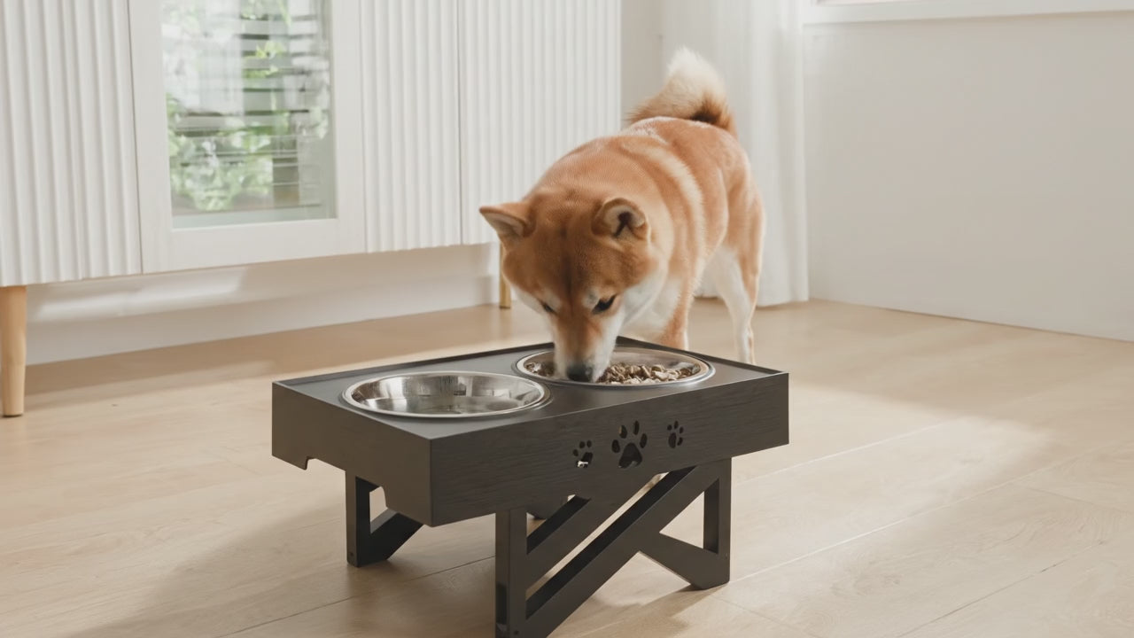 PackaBOWL - Gamelle surélevée Portable Pliable